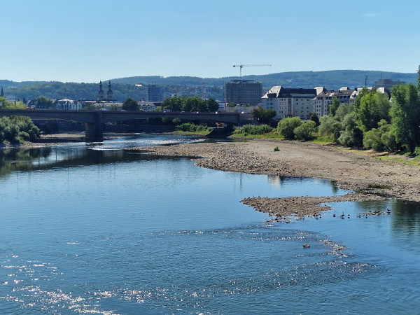 Niedrigwasser an der Mosel in Koblenz (28. Juli 2026).