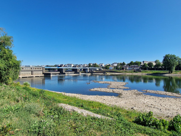 Niedrigwasser an der Mosel in Koblenz (28. Juli 2026).