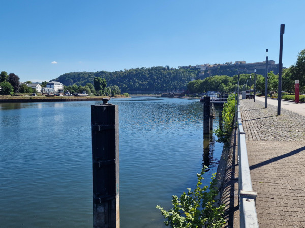 Niedrigwasser an der Mosel in Koblenz (28. Juli 2026).