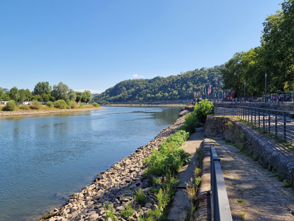 Niedrigwasser an der Mosel in Koblenz (28. Juli 2026).