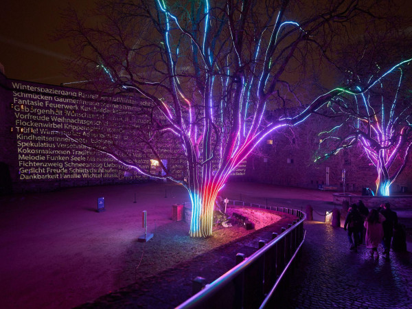 Quer durch Rheinland-Pfalz gibt es in den kommenden Wochen bei verschiedenen Festen künstlerische Lichtinstallationen. (Archivbild)