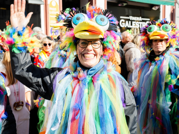 Rosenmontagszug Koblenz, Karneval 2025