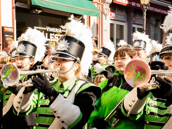 Rosenmontagszug Koblenz, Karneval 2025