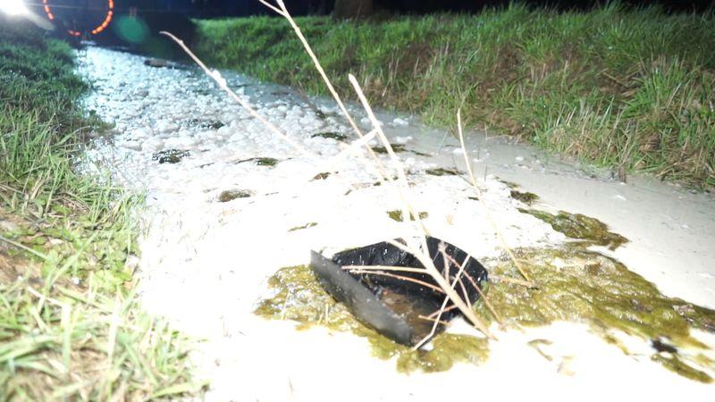 So sieht es aus, wenn sich Tausende Liter Milch auf einer Wiese ergießen. (Archivbild)