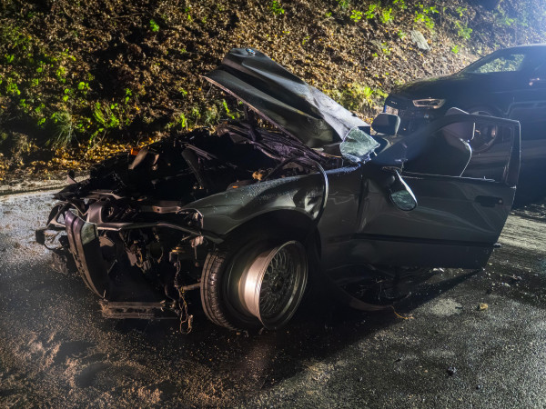 Sowohl der Fahrer als auch der Beifahrer des BMW kamen mit schweren, teils lebensbedrohlichen Verletzungen in die umliegenden Krankenhäuser.
