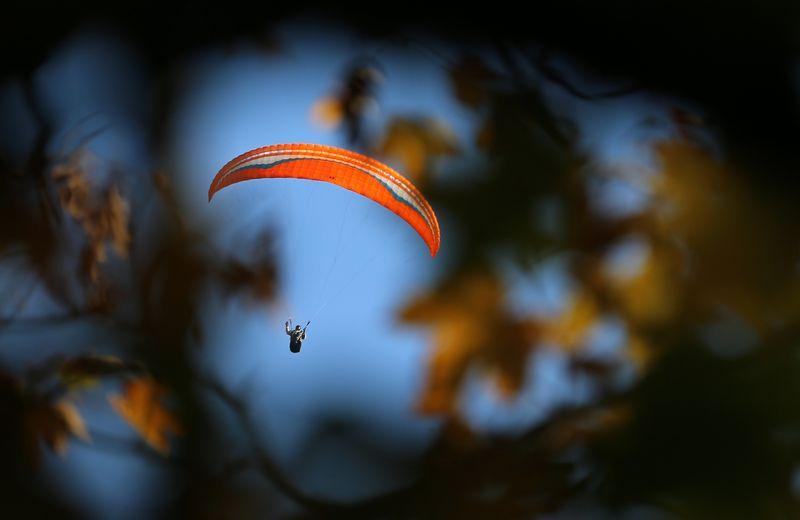 Unmittelbar nach dem Start stürzte ein Gleitschirmflieger in ein Waldstück. (Symbolbild) Unmittelbar nach dem Start stürzte ein Gleitschirmflieger in ein Waldstück. (Symbolbild)