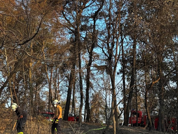 Waldbrand in der Vordereifel