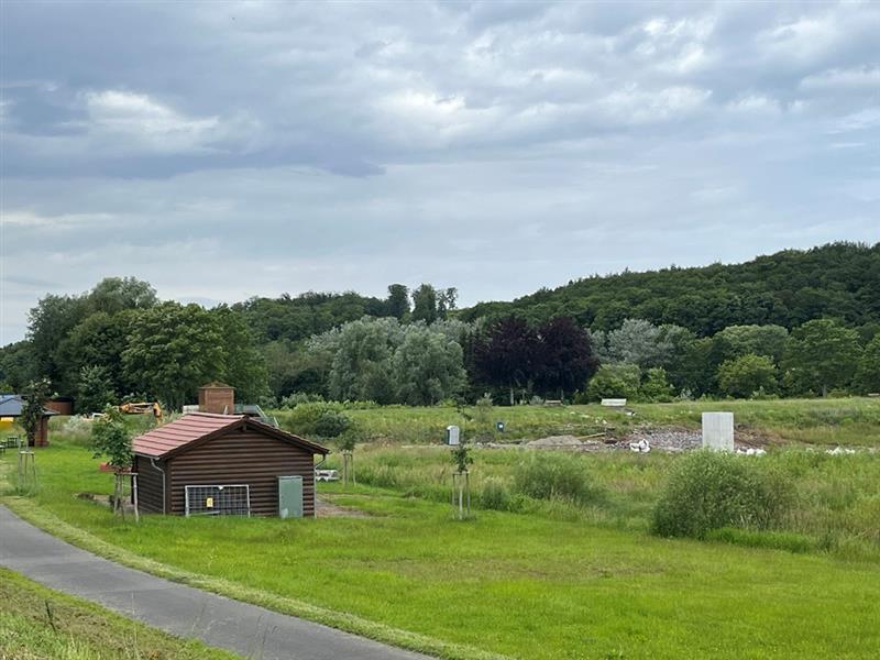 Wiesensee